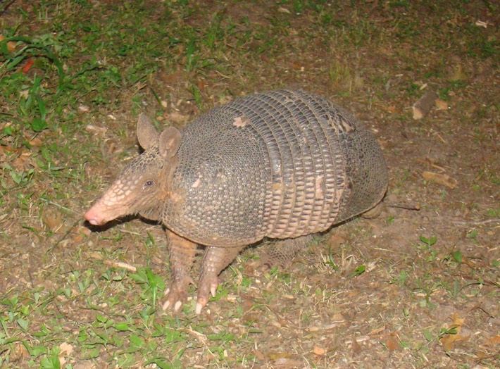 Atchaf-July4th09 012 (2)