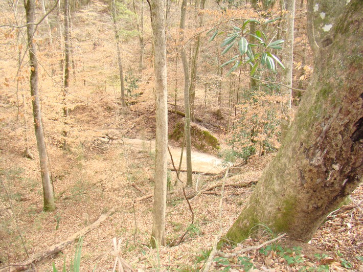 DSC00349 Clark Creek