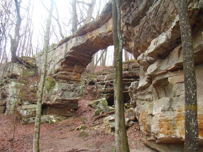 DSC00523 Sewanee
