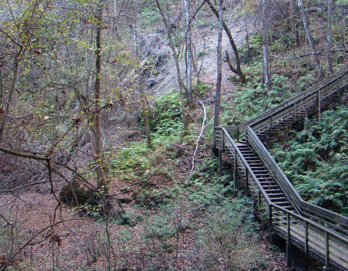 DSC02786 Devil's Millhopper