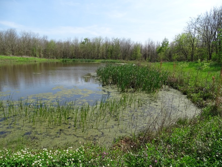 DSC03328_Heron Pond