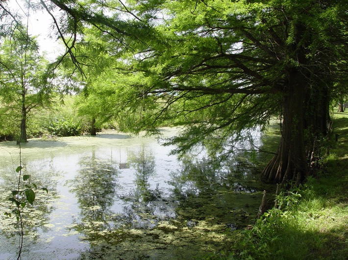 Herps 2005 664