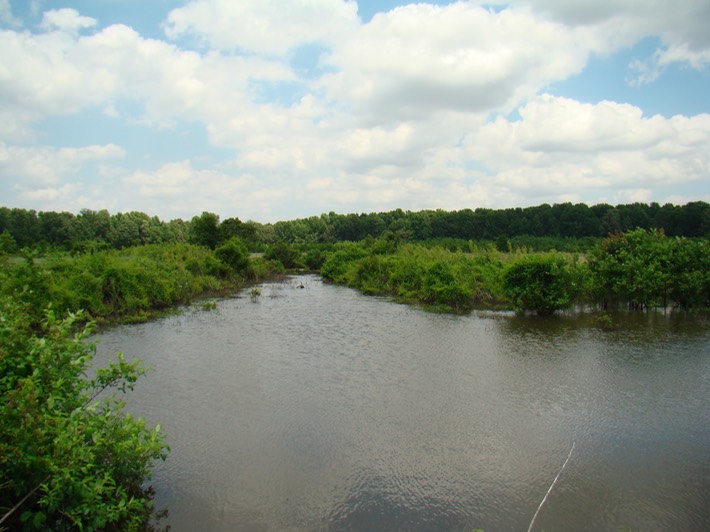 hjgfjjh 061 Dahomey NWR