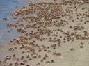 IMG_0712