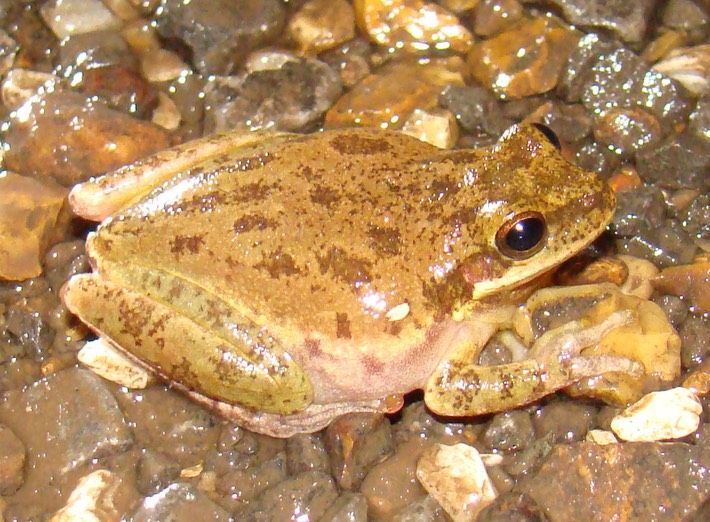 Matt Trip May 2009 067 (2)