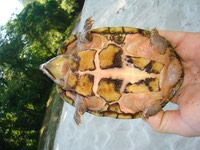 Matt Trip May 2009 148