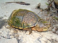 Matt Trip May 2009 156