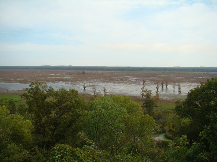 Mingo 035