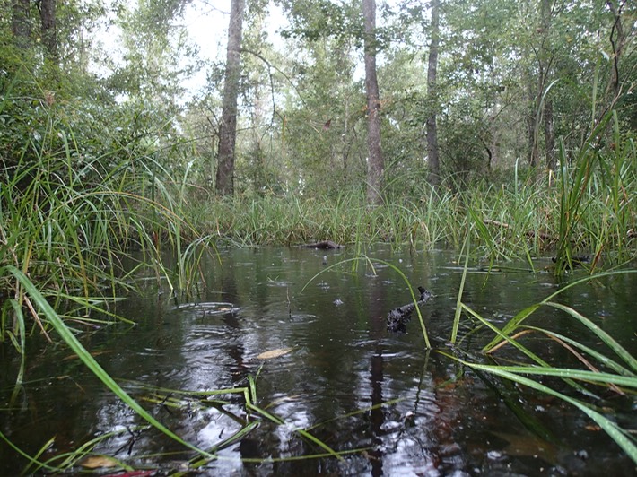 P9120007 Lake Ramsey