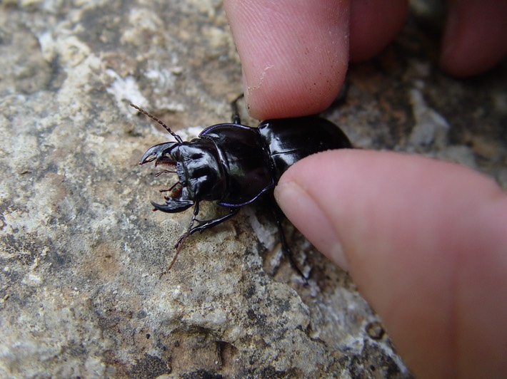 Picture 052 Flat Rock