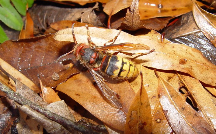 Picture 115 Coffee Co. TN