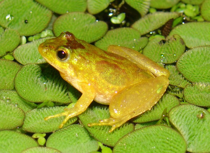 Random H9 Pics 2010 224 (2)