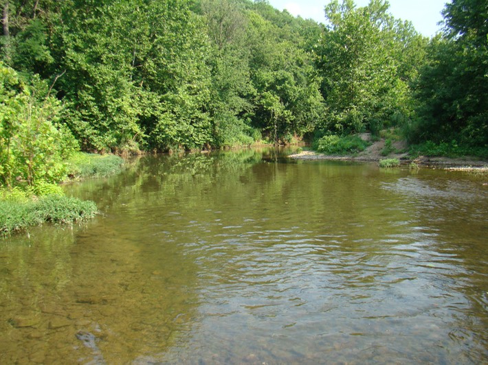 St. Francois State Park 103