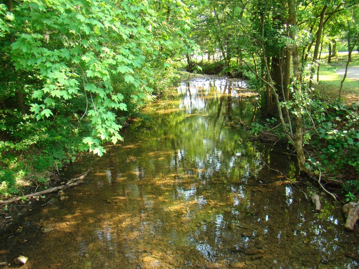 St. Francois State Park 111