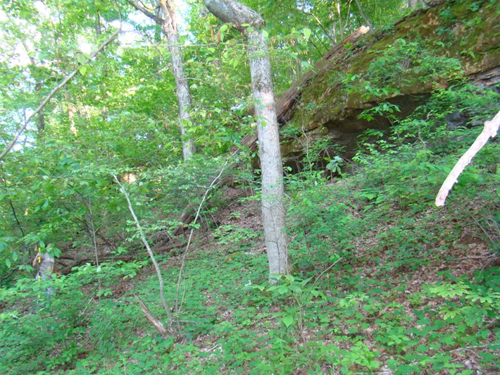 St. Joe State Park, Missouri 061