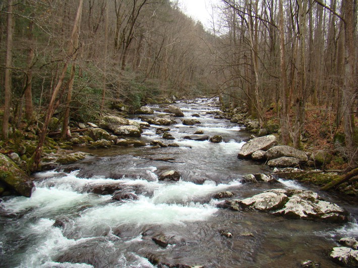 TNARMI-09 (137) Smokies