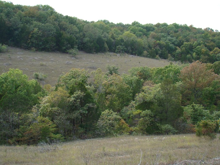 various 055 Valley View