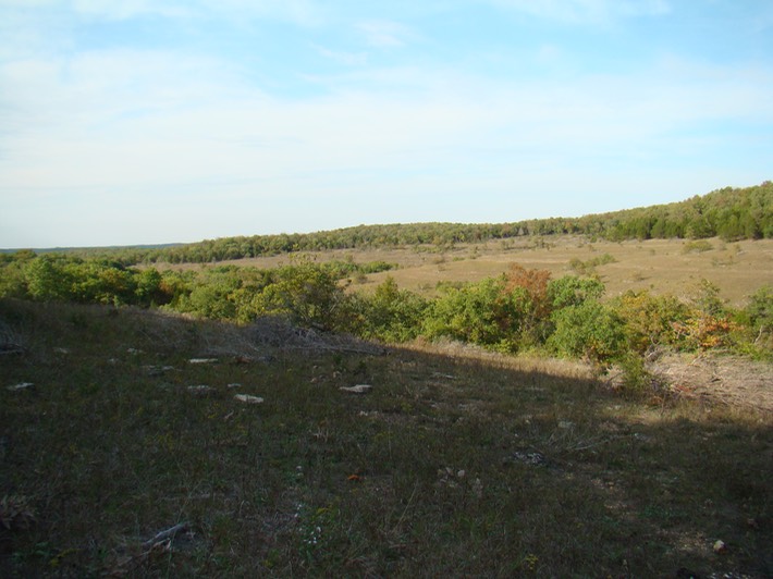 various 081 Valley View