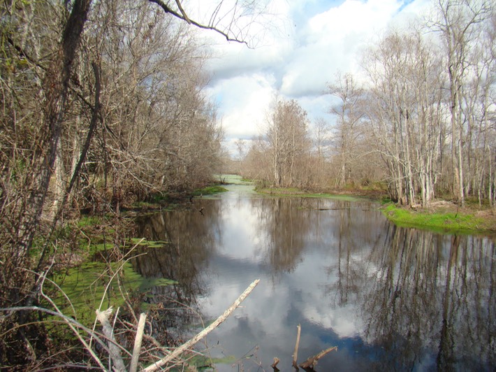 Various 164 Lake Martin