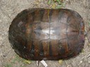 DSC00255