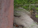 DSC00275 (2)