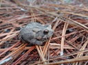 DSC00360