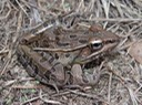 DSC00370