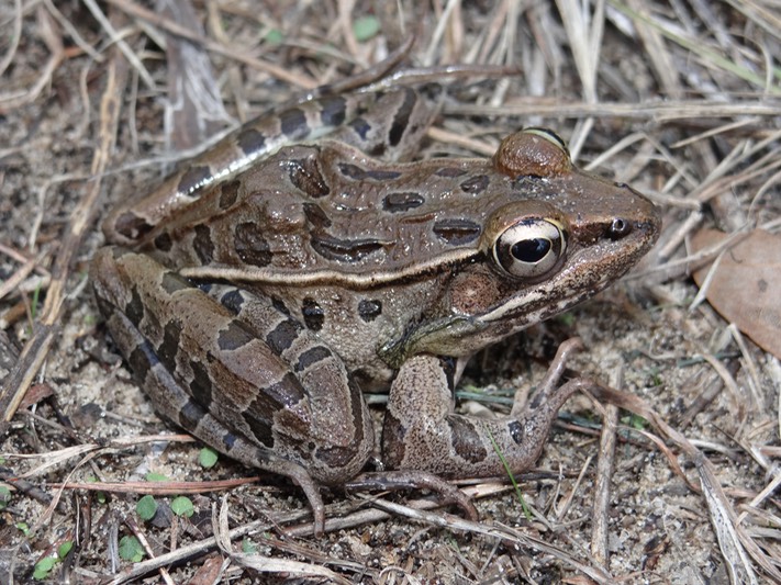 DSC00370