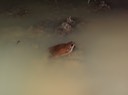 DSC00439 (2)