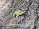 DSC00675