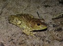 DSC00696