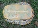 DSC00732