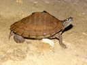 DSC00797