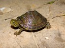 DSC00803