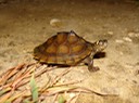 DSC00820