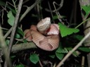 DSC00841