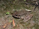 DSC00846