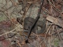 DSC00865