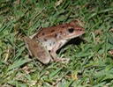 DSC00890 (2)