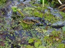 DSC00932