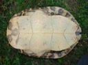 DSC01009