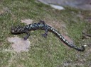 DSC01028