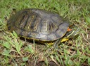 DSC01087