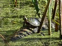 DSC01309