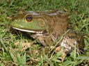 DSC01431