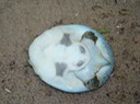 DSC01451