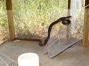 DSC01508