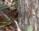 DSC01638 (2)