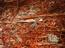 DSC01641