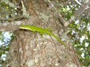 DSC01716